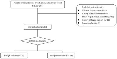 Diagnostic value of Kaiser score combined with breast vascular assessment from breast MRI for the characterization of breast lesions